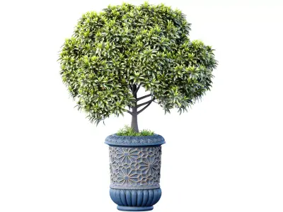 Decorative large garden tree for decoration in oriental style  3D model