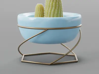 Procedural cactus Free 3D model