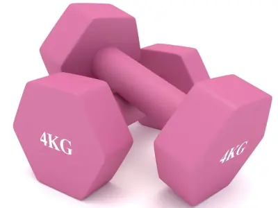 Dumbbells 4kg 3D model