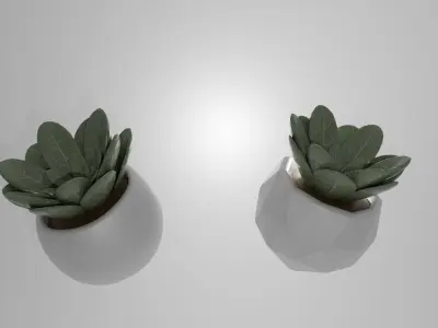 Free Succulent Plant in Low Poly Pot   PBR Texture Game Ready Free 3D model