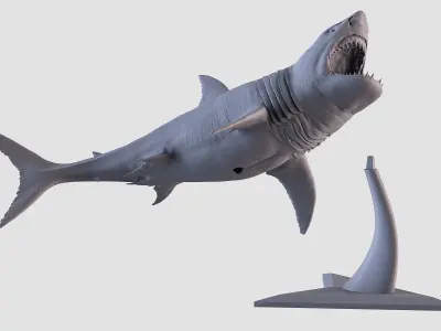White Shark Statue 3D print model