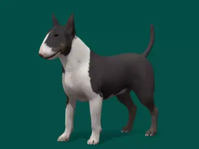 Bull Terrier  Game Ready 3D model