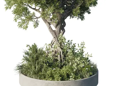 Garden plants - outdoor plant set 192 3D model