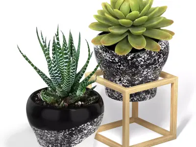 Flower Pot with a Wood Cube Frame 3D model