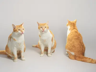 Red cat  21 Low-poly 3D model