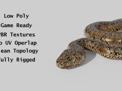 Python Snake - Low Poly -  Game Ready - PBR Low-poly 3D model