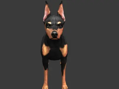 German Doberman Pinscher Low-poly 3D model