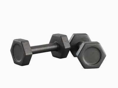 Small Rubber Dumbbell 01 3D model