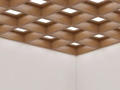 Ceiling No 002 3D model