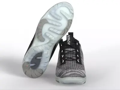 Nike Air VaporMax Flyknit 2021 Oreo Low-poly 3D model