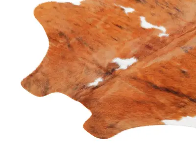 Tricolor Cowhide Rug A26876 3D model