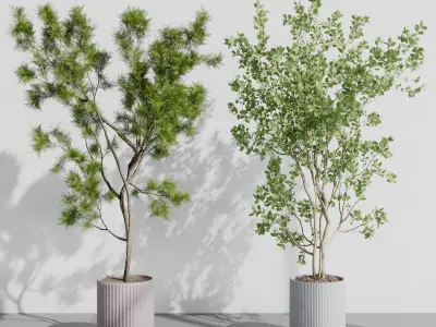 A Collection Trees in a concrete dirty vase - indoor plant 395 Low-poly 3D model