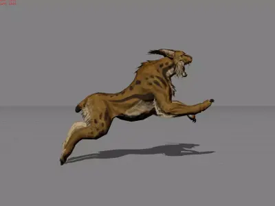 Lynx Animal Wildcat Low-poly 3D model