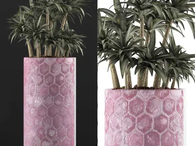 Plants Collection 115 3D model
