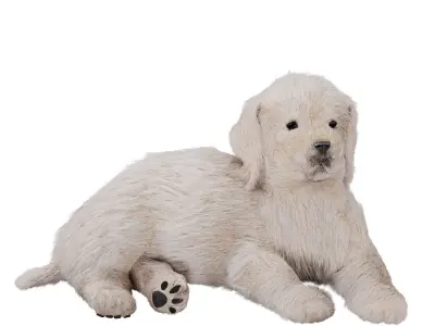 Labrador puppy 3D model