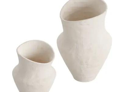 Vase Irregular Shape 3D model