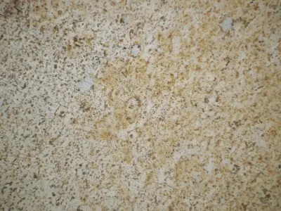 Barbeque Installation with Panorama artwork model 3ds max vray Low-poly 3D model