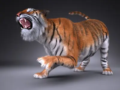 Sumatran Tiger for 3dsmax 3D model