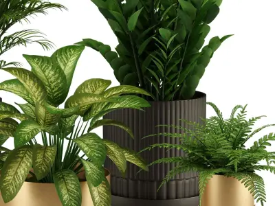 Indoor Plant Set 002 3D model