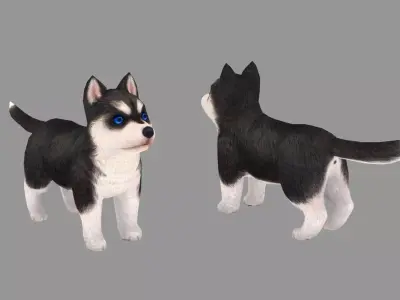 Cartoon pet puppy - Husky - baby dog Low-poly 3D model