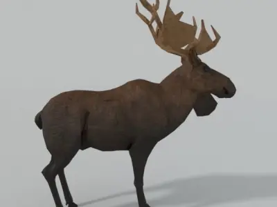 Moose with antlers Low-poly 3D model purchase