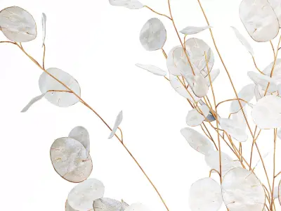 Realistic bouquet white moonflower branches glass vase decor 3D model