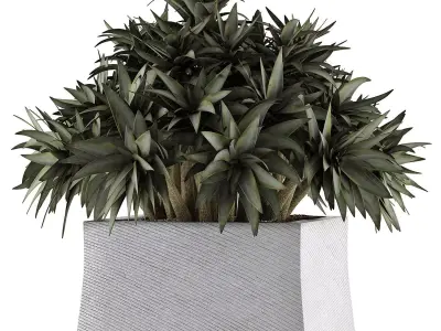 Plants Collection 51 3D model