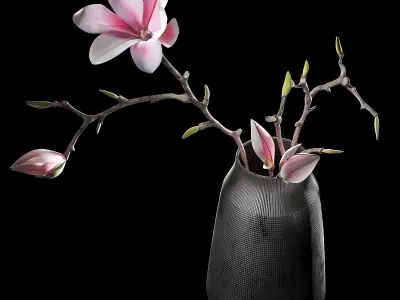 Decorative set 002  3D model