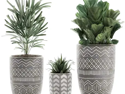 Decorative plants in pots on a stand for the interior 530 3D model