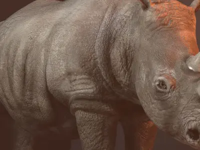 Rhino 3d model rhinoceros Low-poly 3D model buy