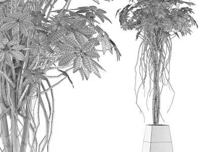 Plants Collection 66 3D model