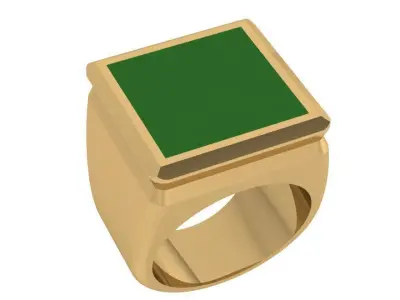 Square Ring 3961 3D print model