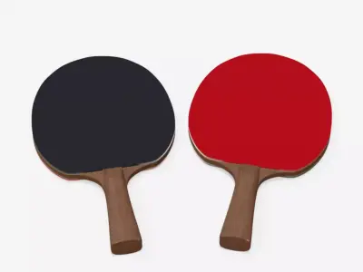 Ping Pong racket 3D model Free 3D model