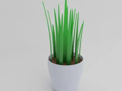 Minimal desk pot plant Free low-poly 3D model