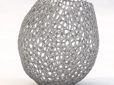 David Wiseman Lattice Vase 3D model