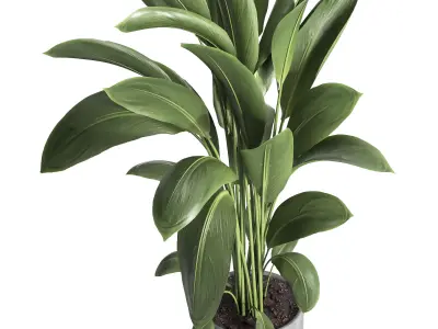 indoor plant 031 3D model