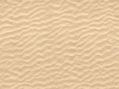 beach sand Free 3D model