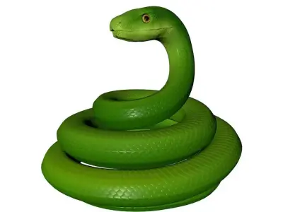 Green Snake 3D model