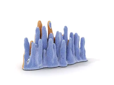 Sandstone Stalagmite Formation model pack Texture