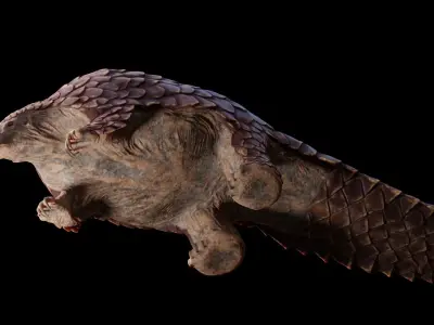 Pangolin Rigged Low-poly 3D model