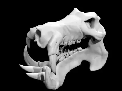 Hippo Skull Low-poly 3D model purchase