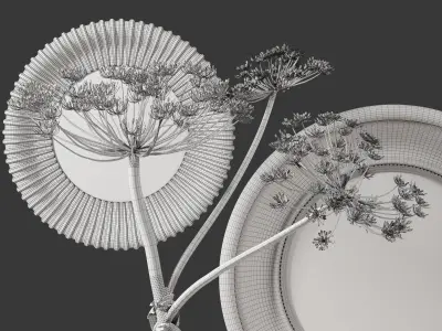 Decor Branch in a vase and mirrors Set 8 3D model