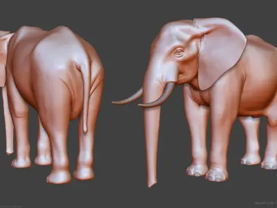 African Bush Elephant 3D model