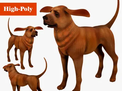 dog  rig  high-poly  textured 3D model