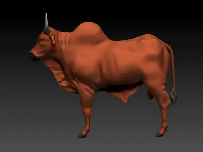 3D Bull 3D model