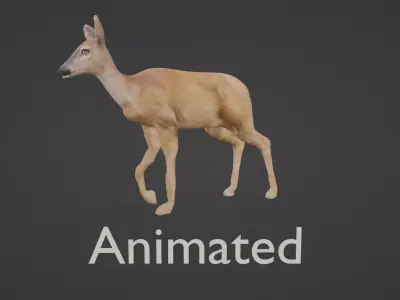 white doe animated Low-poly 3D model