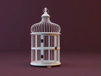 Belen Decorative Cage by ZARA HOME 3D model