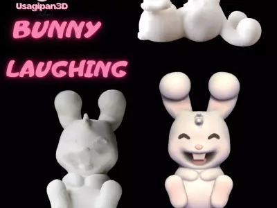 Bunny Laughing 3D print model