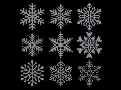 Snowflaskes pack 3D print model