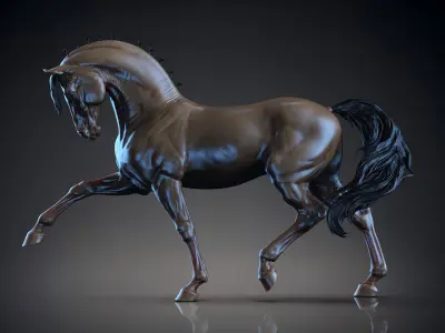 Andalusian horse  -   3D Sculpting 3D print model